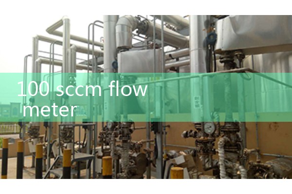 100 sccm flow meter